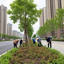 贝博中国 7亩大型园林景观设计